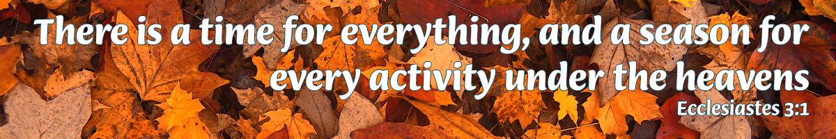 There is a season for every activity under the heavens