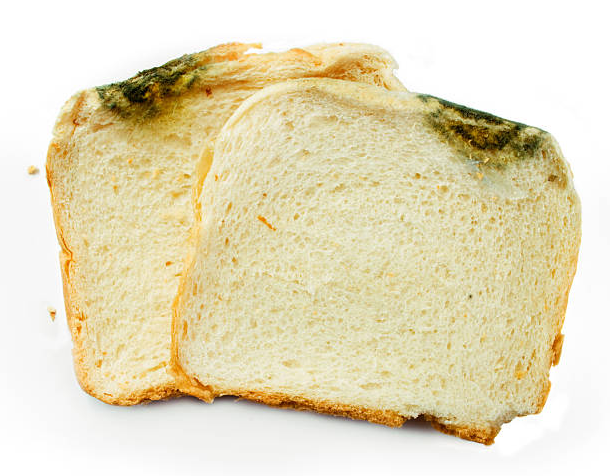 mouldy bread