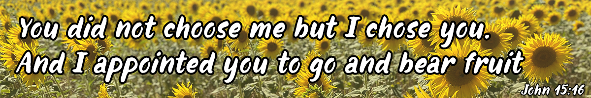 You did not choose me, but I chose you - John 15:16