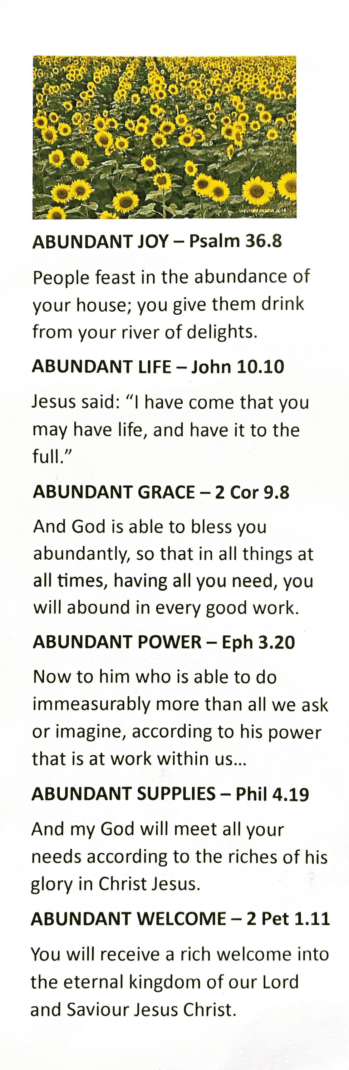 abundance