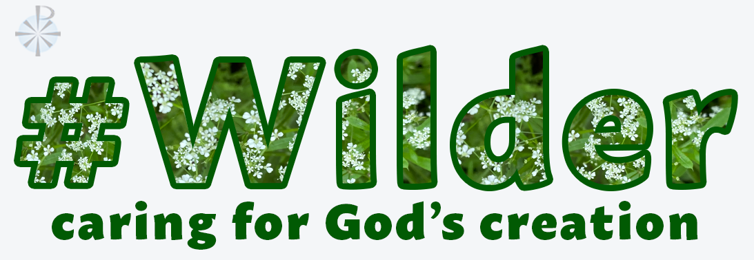 Wilder Church Grounds