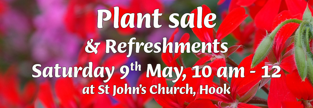 Plant Sale