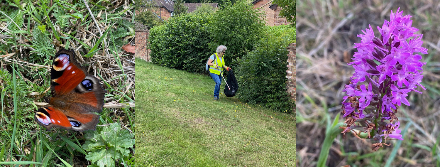 litter pick
