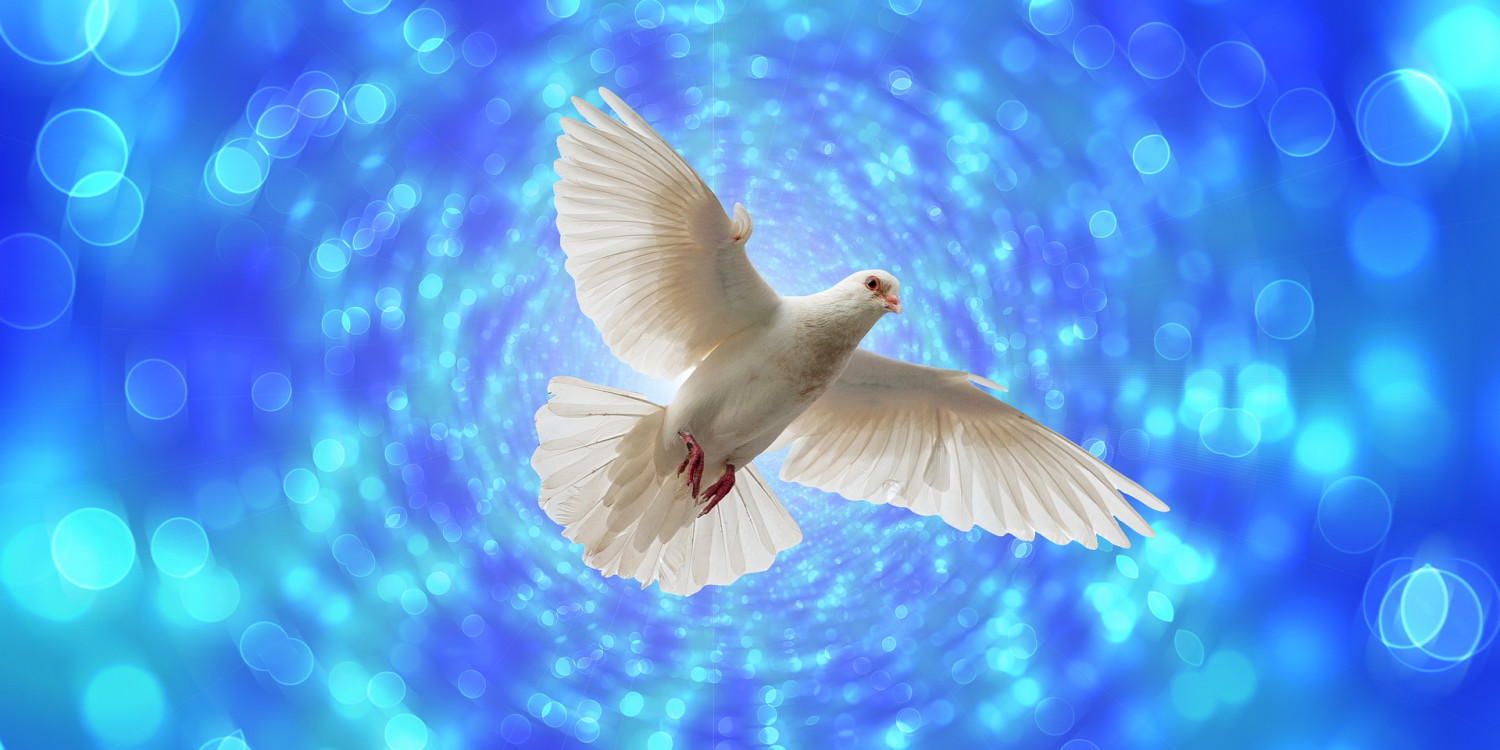 Image of a dove by Gerd Altmann from Pixabay