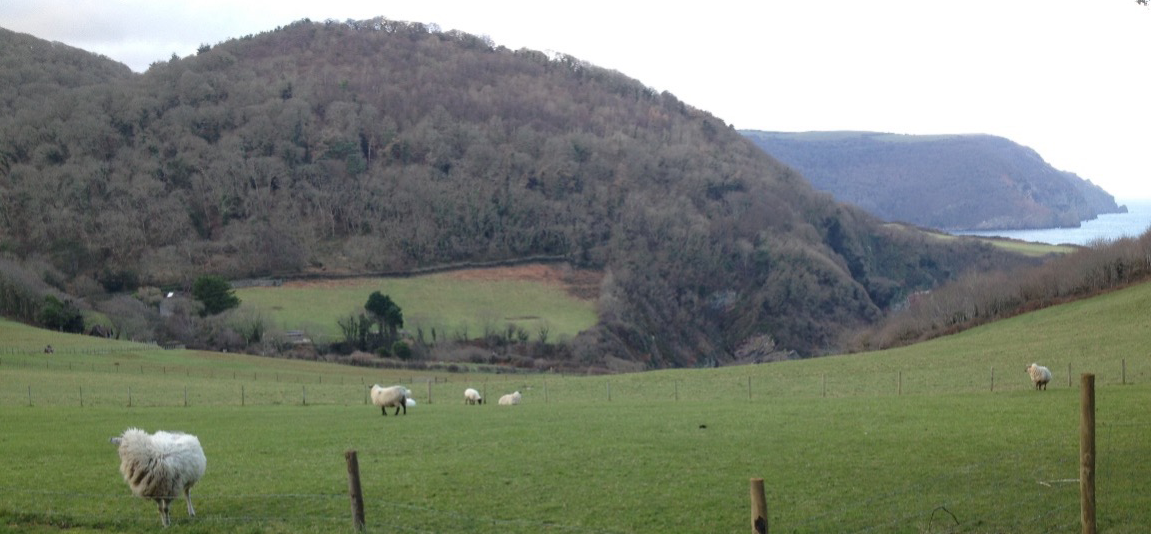 pastoral scene - Lee Abbey - Marion de Quidt