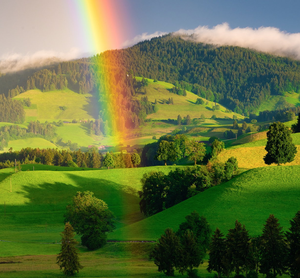 rainbow - pixabay - https://pixabay.com/users/susnpics-10235783/