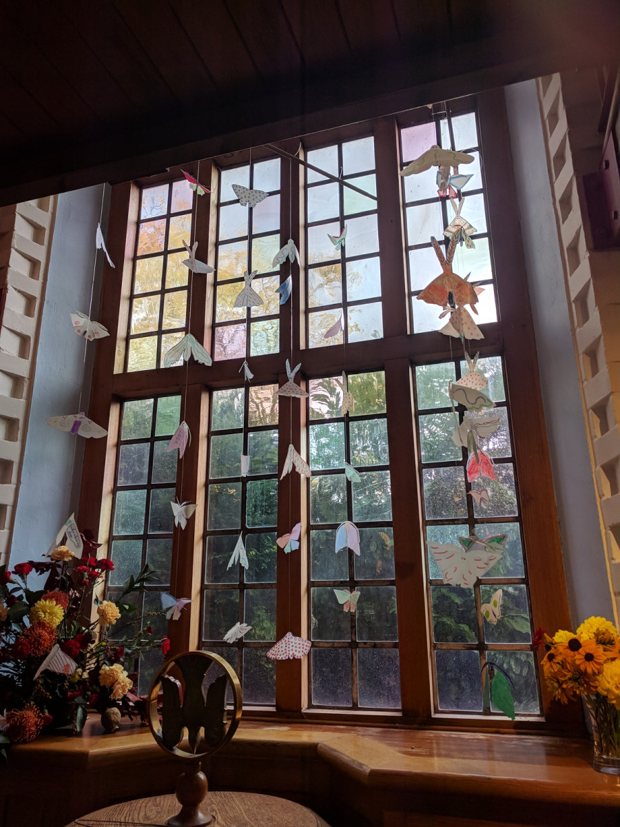 Moths in the Window